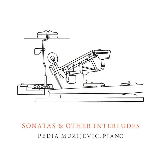 Sonatas and Other Interludes - Pedja Muzijevic
