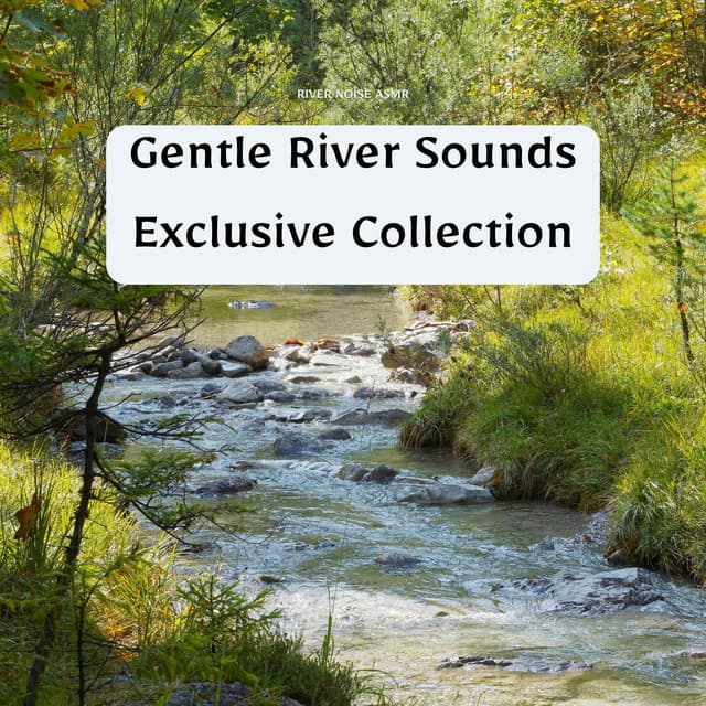 Gentle River Sounds Exclusive Collection - River Noise ASMR
