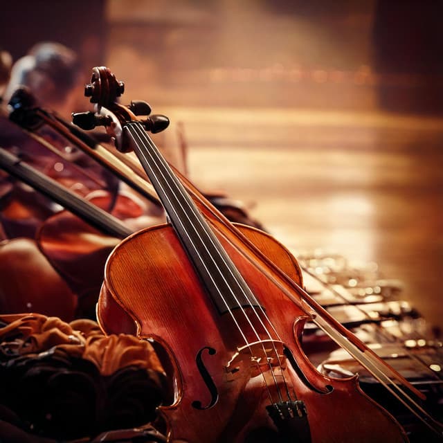 Rhythms of Relaxation: Orchestra Music Reboot - Raymond Floyd