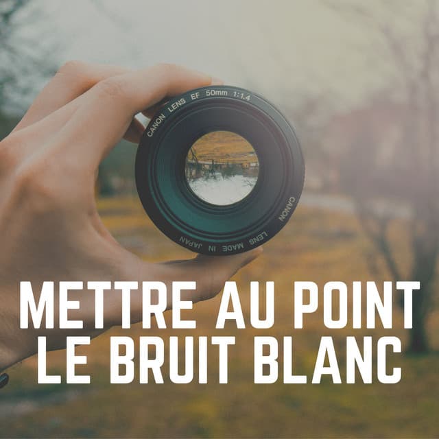 Mettre Au Point Le Bruit Blanc - Bruit Blanc