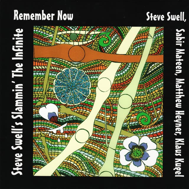 Remember Now - Steve Swell