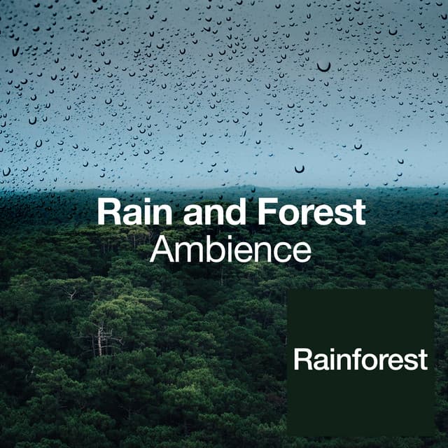 Rain and Forest Ambience - Rainforest