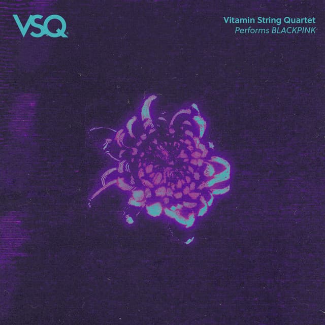 VSQ Performs BLACKPINK - Vitamin String Quartet