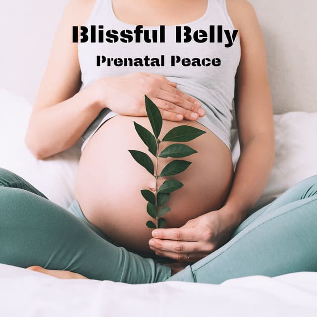 Blissful Belly: Prenatal Peace, Healing Melodies for Expecting Moms - Pregnancy Academy