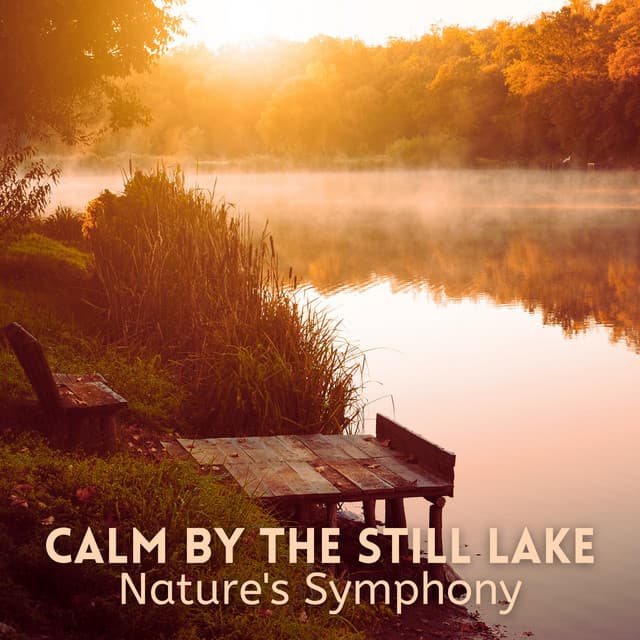 Calm by the Still Lake: Nature's Symphony - Life Sounds Nature