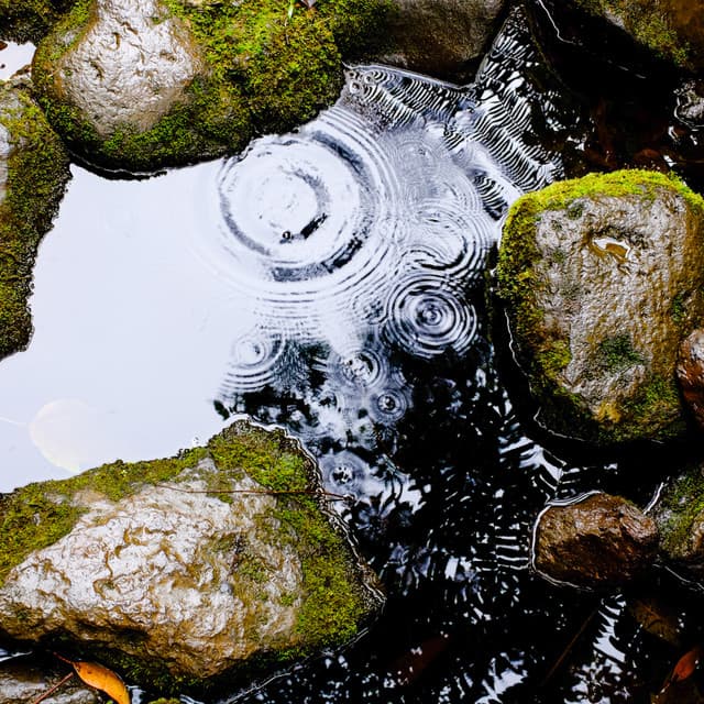 50 Stormy Nights: Mindfulness - Meditation Rain Sounds