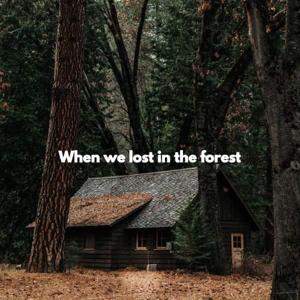 When we lost in the forest - Hotel Lounge Deluxe