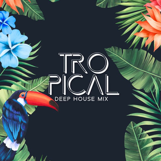 Tropical Deep House Mix: Holiday Chill Out Music Selection, Ibiza Beach Party Hits - Dj. Juliano BGM