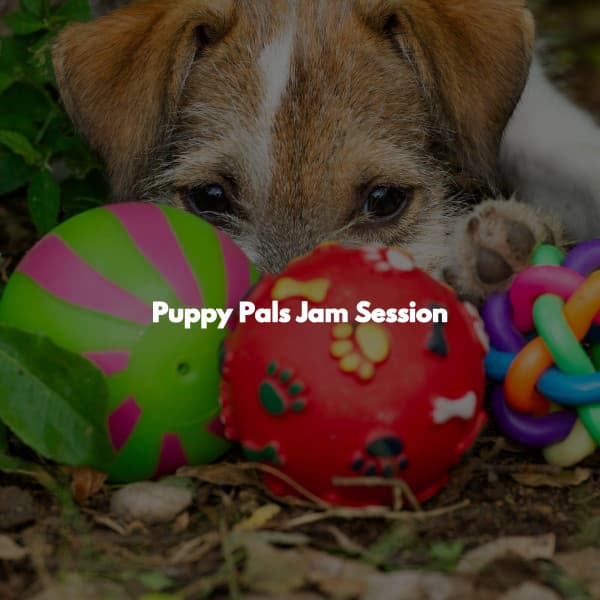 Puppy Pals Jam Session - Chillout Jazz Deluxe