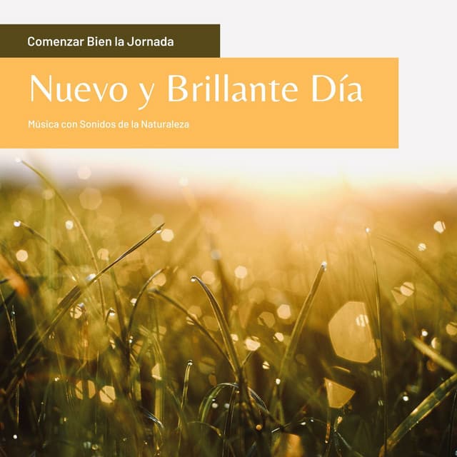 Nuevo y Brillante Día: Música con Sonidos de la Naturaleza, Comenzar Bien la Jornada - Lucia Guiada