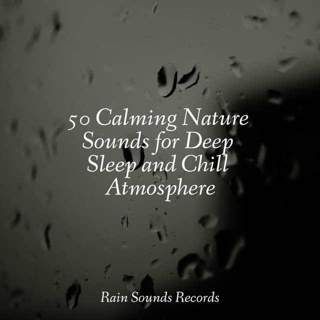50 Calming Nature Sounds for Deep Sleep and Chill Atmosphere - Avslappning Sound