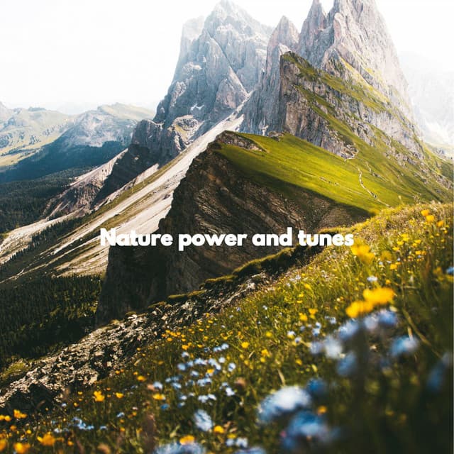 Nature power and tunes - New Orleans Jazz Band