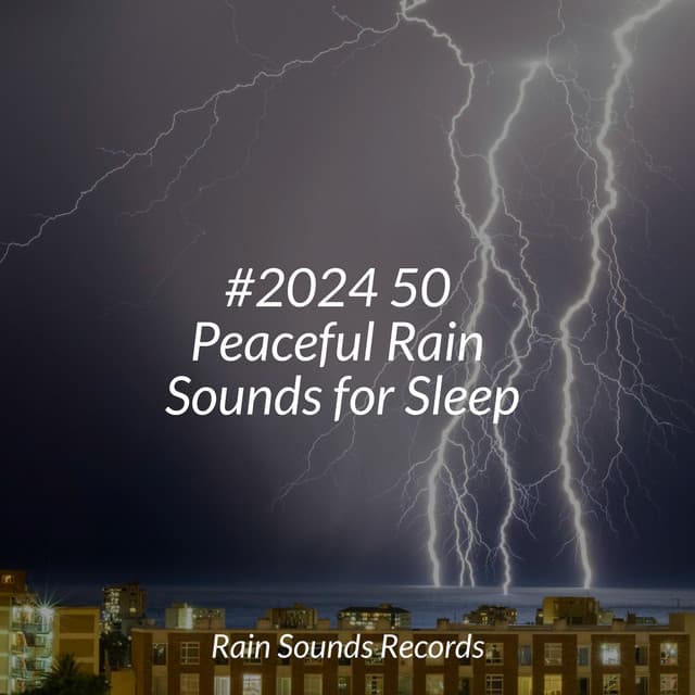 #2024 50 Peaceful Rain Sounds for Sleep - Rain Sound Studio