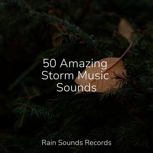 50 Amazing Storm Music Sounds - Yoga Sounds