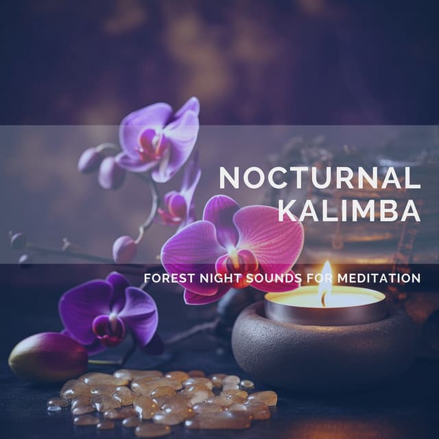 Nocturnal Kalimba: Forest Night Sounds for Meditation - Quarantine Meditation