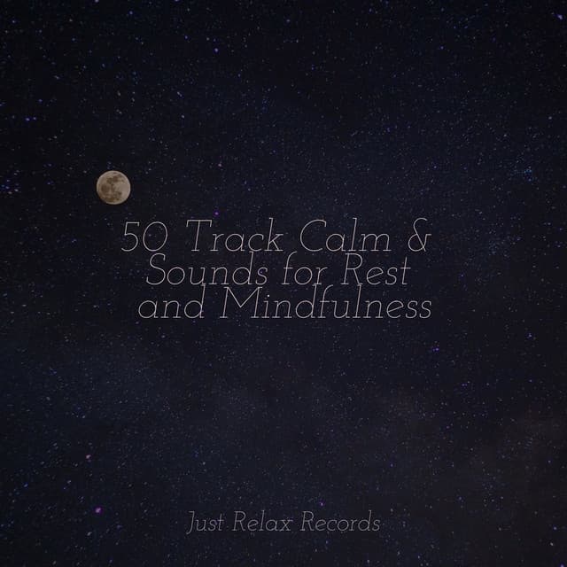 50 Track Calm & Sounds for Rest and Mindfulness - Pro Sound Effects Library