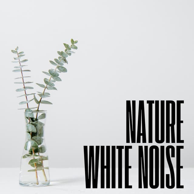 Natural White Noise - Lucid Dreaming World-Collective Unconscious Mind