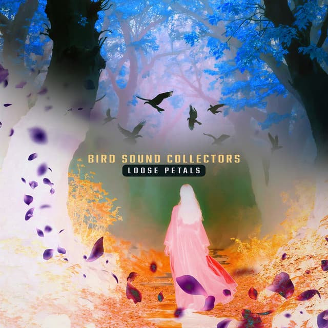 Loose Petals - Bird Sound Collectors