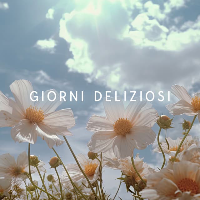 Giorni deliziosi - Musica tranquilla accademia