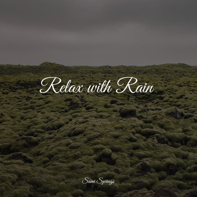 Relax with Rain - Thunder Storm