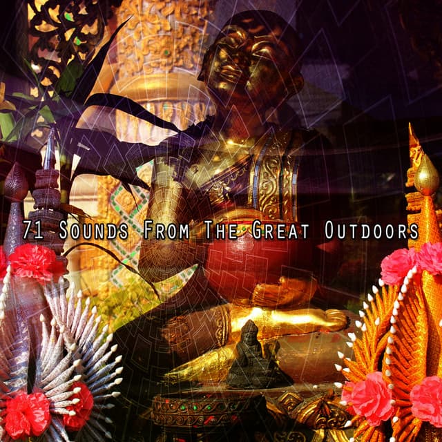 71 Sounds from the Great Outdoors - Forest Sounds