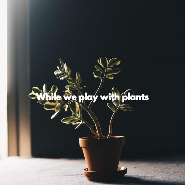 While we play with plants - Deluxe Elevator Music