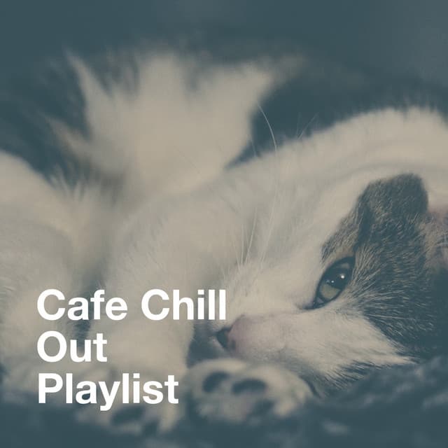 Cafe Chill Out Playlist - Asian Chillout Music Collective