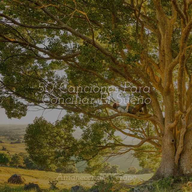 50 Canciones Para Conciliar El Sueño - Rumbas de España