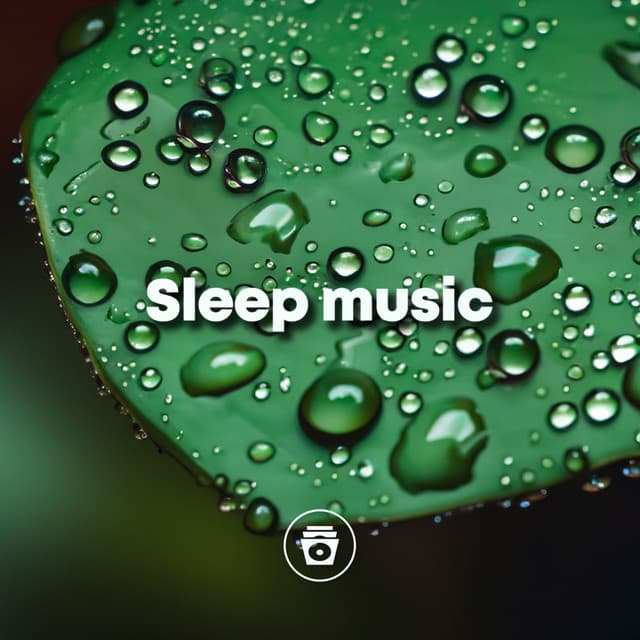 Sleep Music - Sounds Of Nature