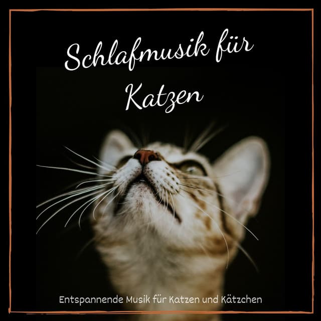 Schlafmusik für Katzen: Entspannende Musik für Katzen und Kätzchen - Schlafen Akademie