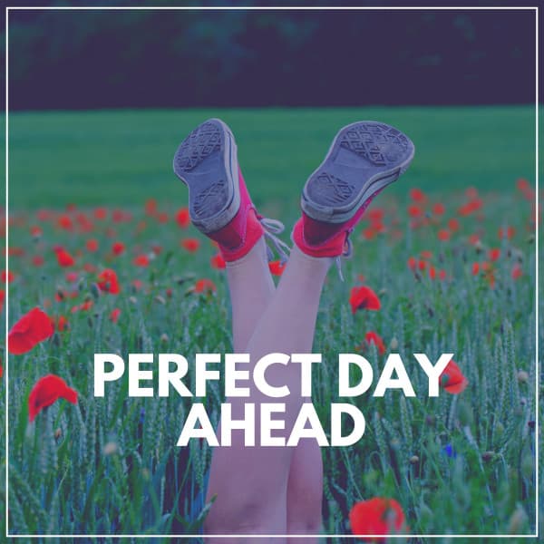 Perfect Day Ahead - Meditation Music