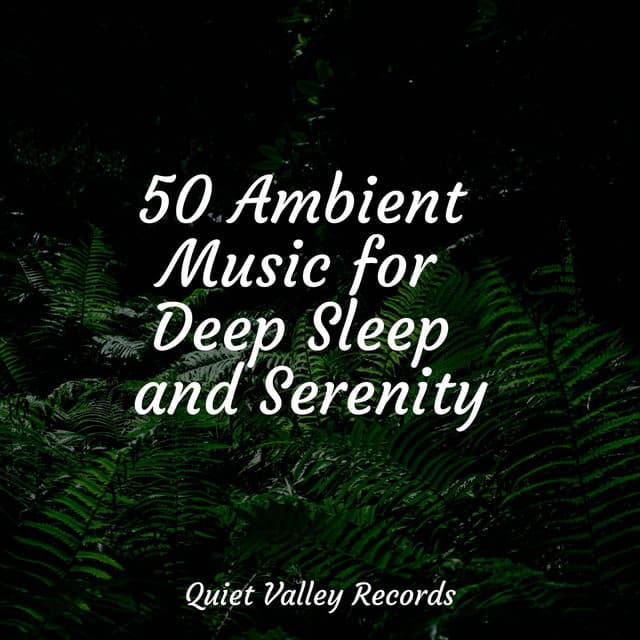 50 Ambient Music for Deep Sleep and Serenity - Sleep Rain