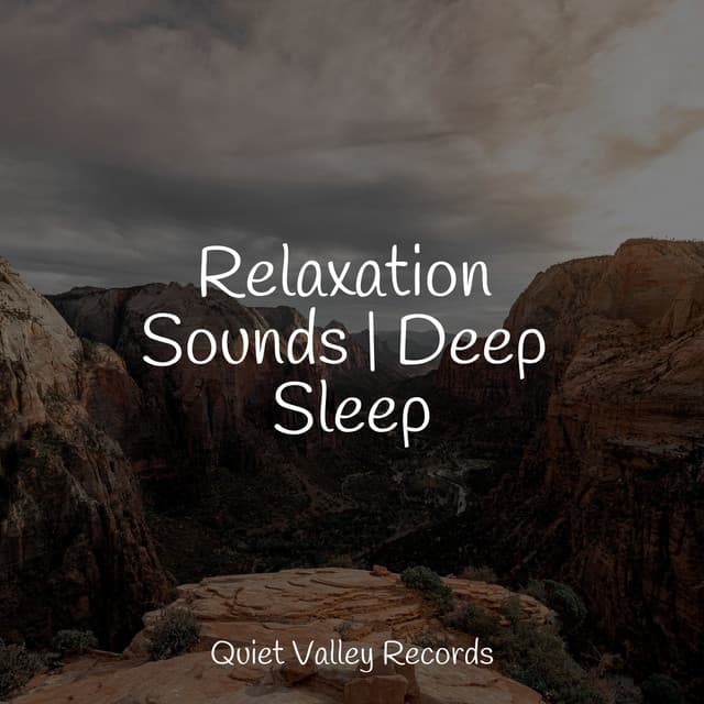 Relaxation Sounds | Deep Sleep - Rain Sounds