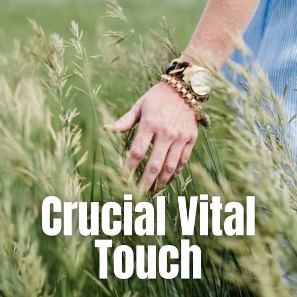 Crucial Vital Touch - Relaxing Meditation Songs Divine