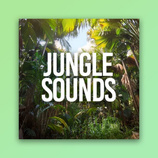 Jungle Sounds - Dog Music Dreams