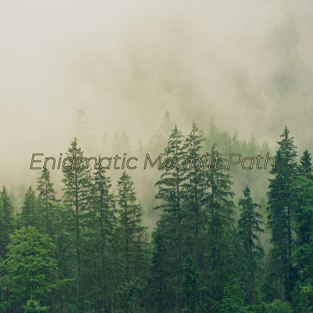 Enigmatic Moonlit Path - Woodland Friends
