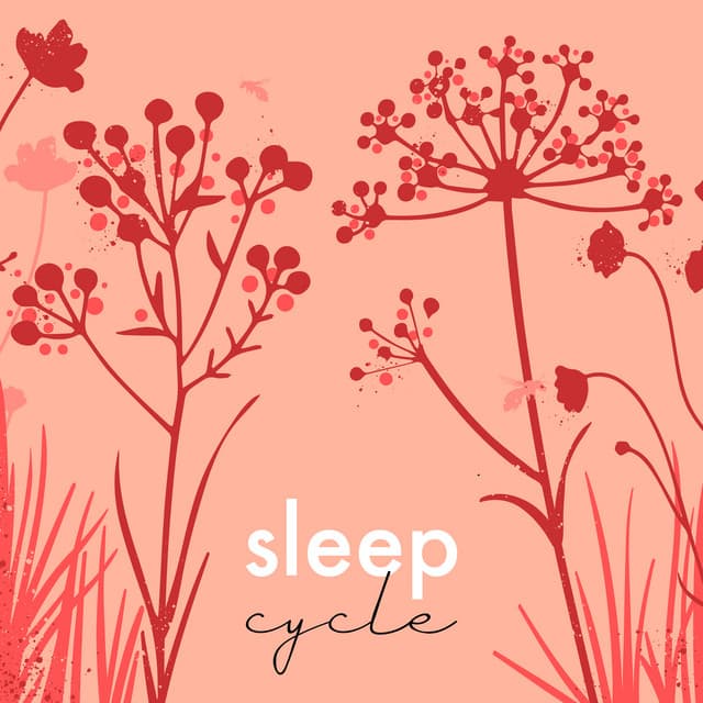 Música para concentración meditativa - Canciones Infantiles Bebe TaTaTa