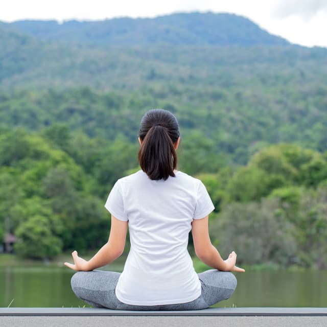 Rain-Soaked Piano Meditation Retreat - Rainforest Meditations