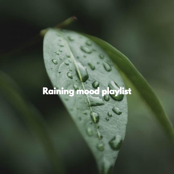 Raining mood playlist - Morning Calm Playlist