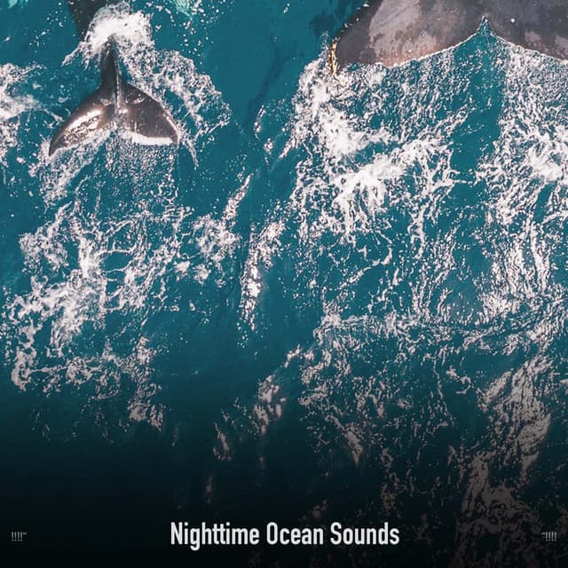 !!!!" Nighttime Ocean Sounds "!!!! - Ocean Waves