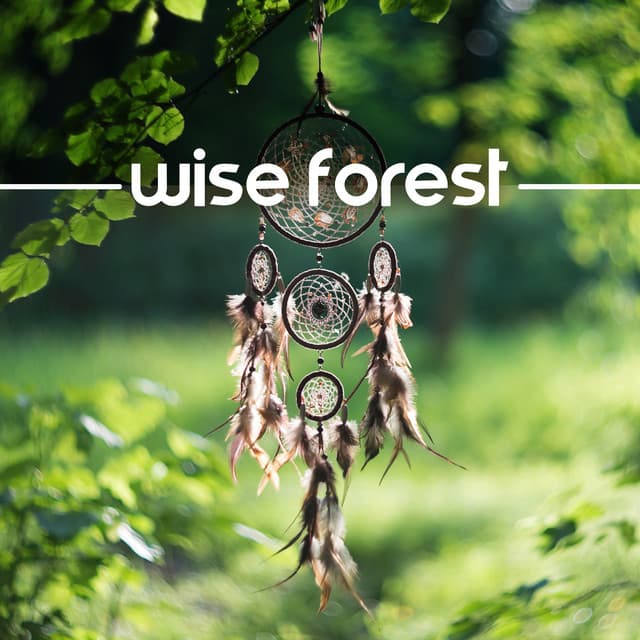 Wise Forest - Sounds of Nature Kingdom