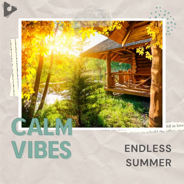 Endless Summer - Calm Vibes