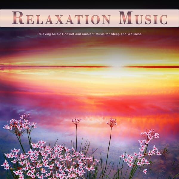 Relaxation Music: Relaxing Music Consort and Ambient Music for Sleep and Wellness - Relaxation Bliss
