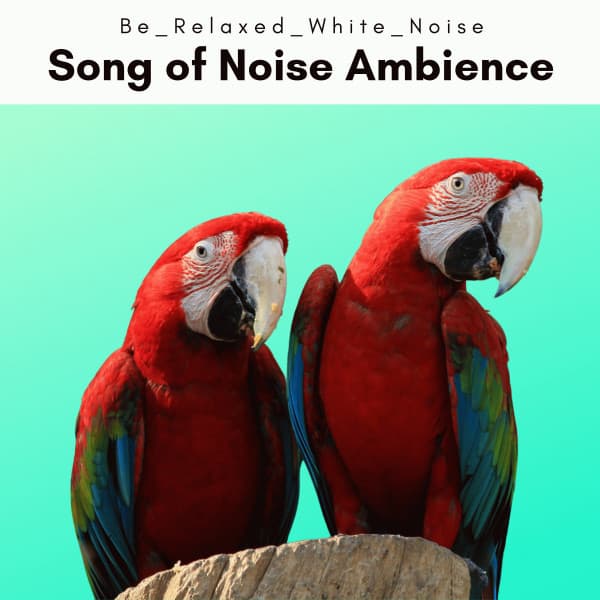 1 Song of Noise Ambience - Be Relaxed White Noise