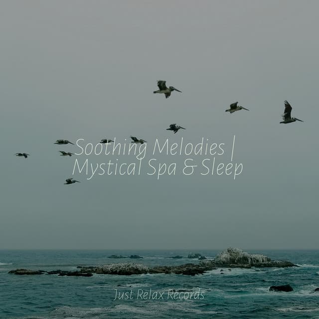 Soothing Melodies | Mystical Spa & Sleep - Exam Study Classical Music
