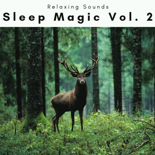 1 Sleep Magic Vol. 2 - Sleep Tech