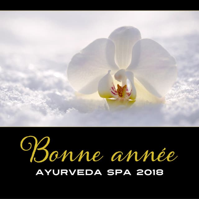 Bonne année ayurveda spa 2018 - Musique zen pour la détente après Noël, Charger les batteries avant la nouvelle année - Bouddha Réflexion Zone Calme