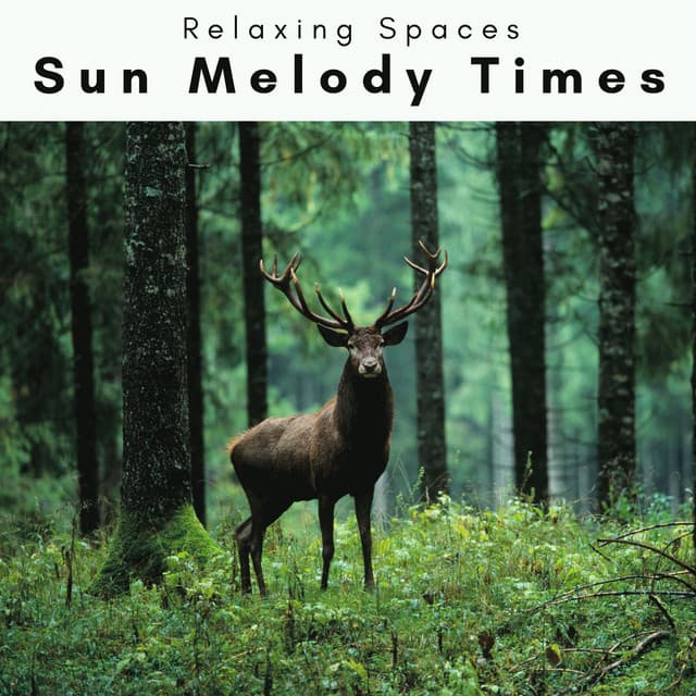 4 Rel: Sun Melody Times - Relaxing Spaces