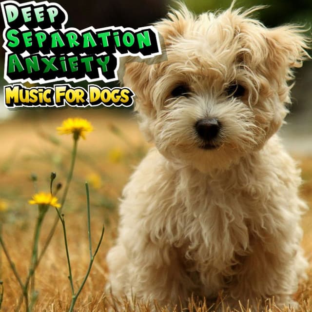 Dog Relaxation & Stress Relief Music - Deep Separation Anxiety Music For Dogs