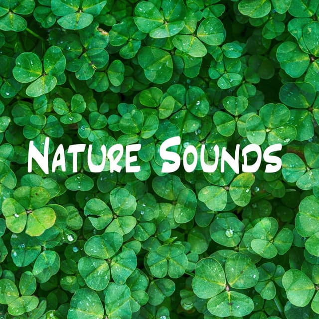 Nature Sounds - Nature Recordings